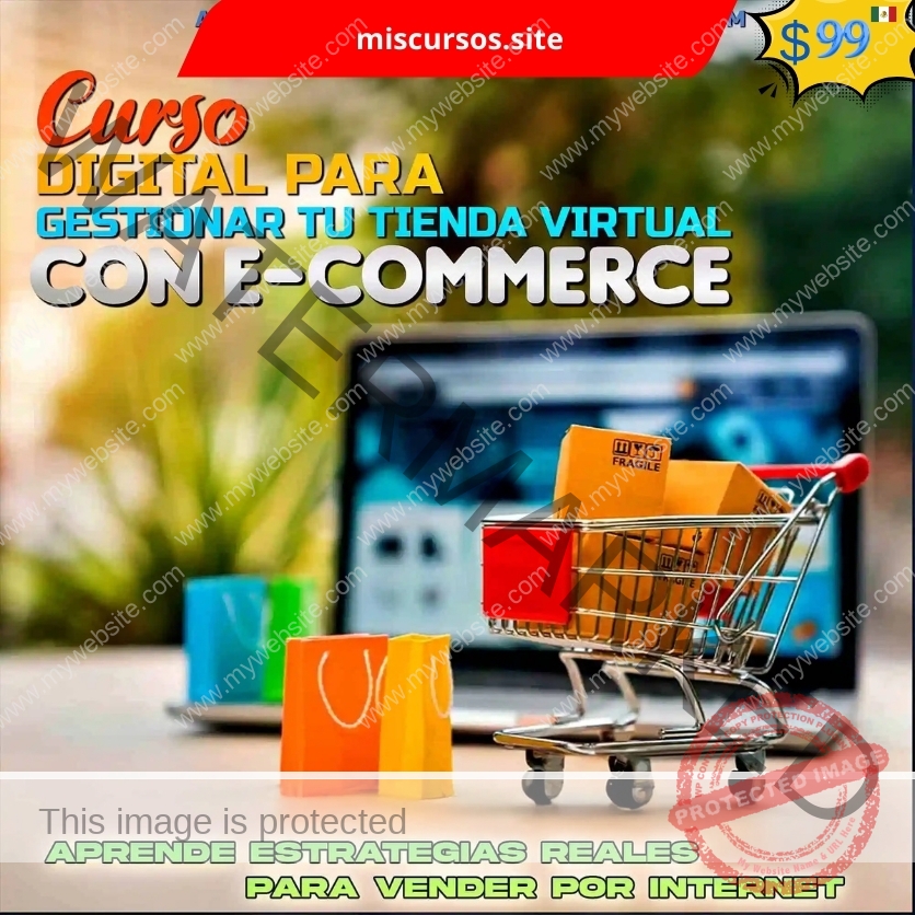 Curso Digital para Gestionar tu Tienda Virtual con E-commerce