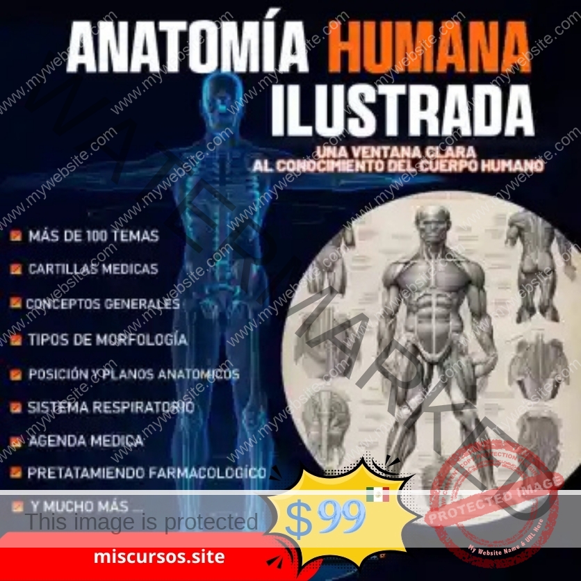 Anatomía Humana Ilustrada