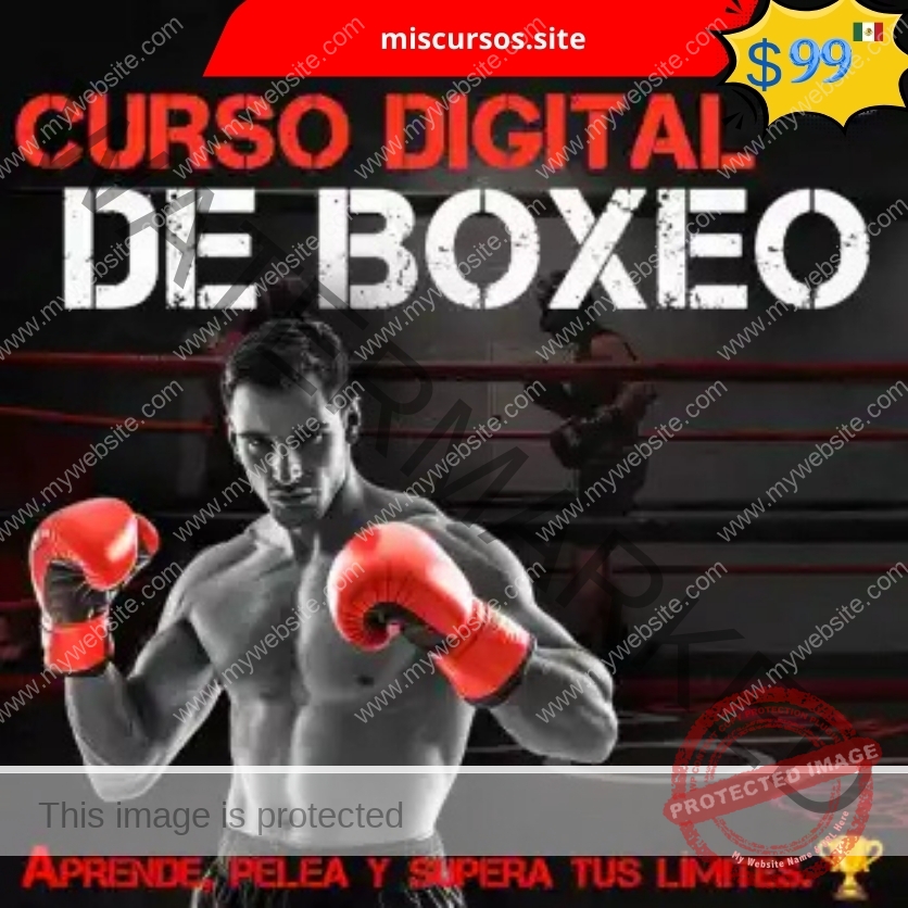 Curso Digital de Boxeo