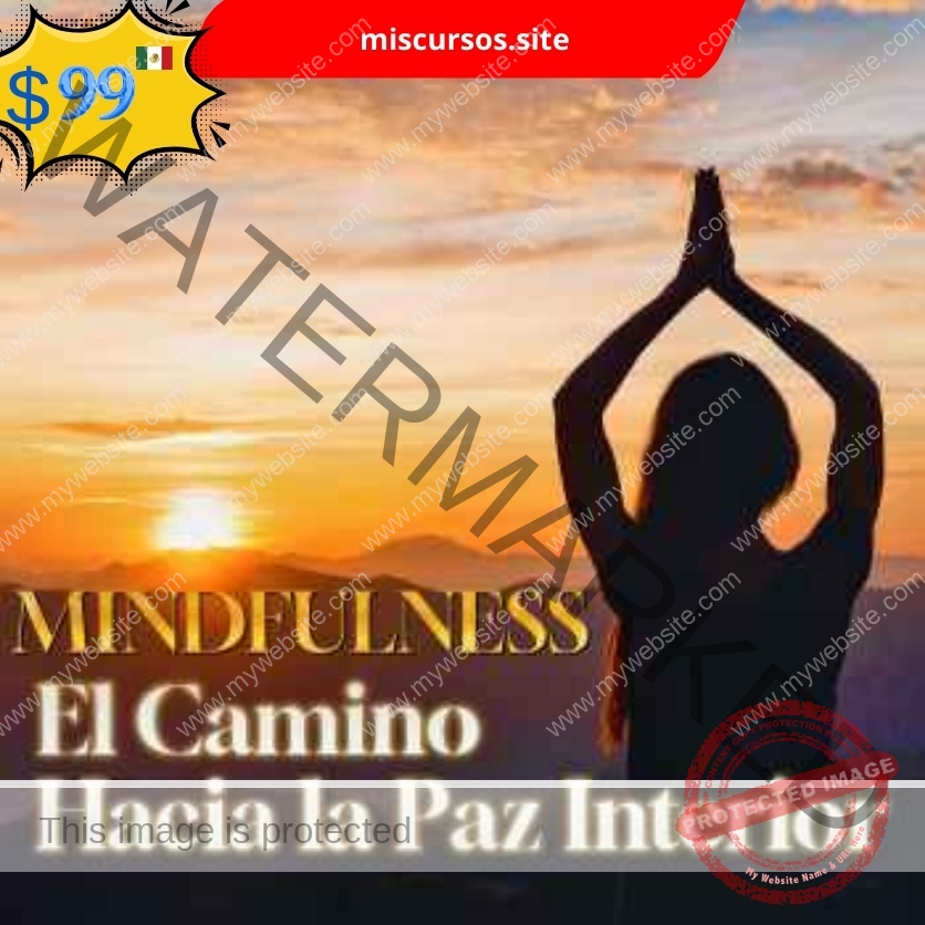 Mindfulness - El Camino Hacia la Paz Interior