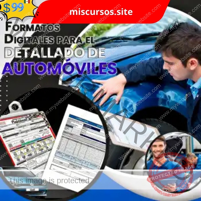 Formatos Digitales para el Detallado de Automóviles