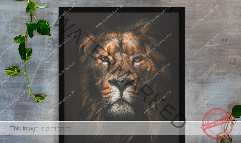 Imágenes exclusivas y súper organizadas - Image 3